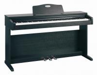 VP110.jpg