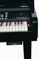 Galileo_Grande4.jpg
